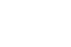 Bimmer Euro